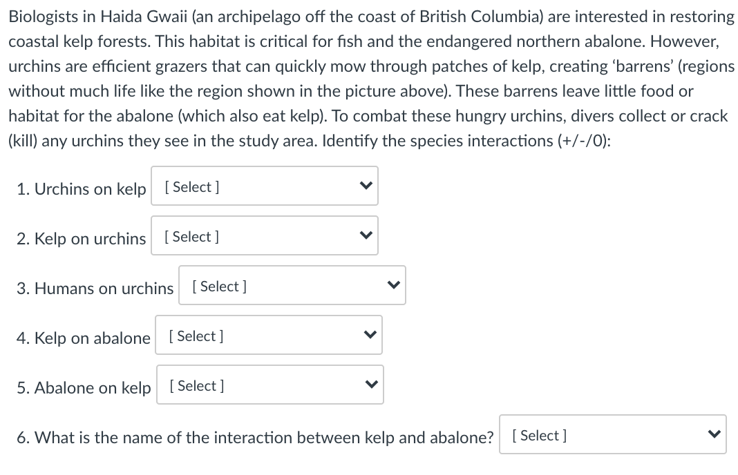 Biologists in Haida Gwaii (an archipelago off the coast of British Columbia) are interested in restoring
coastal kelp forests. This habitat is critical for fish and the endangered northern abalone. However,
urchins are efficient grazers that can quickly mow through patches of kelp, creating 'barrens' (regions
without much life like the region shown in the picture above). These barrens leave little food or
habitat for the abalone (which also eat kelp). To combat these hungry urchins, divers collect or crack
(kill) any urchins they see in the study area. Identify the species interactions (+/-/0):
1. Urchins on kelp
[ Select ]
2. Kelp on urchins
[ Select ]
3. Humans on urchins [Select ]
4. Kelp on abalone
[ Select ]
5. Abalone on kelp [ Select]
6. What is the name of the interaction between kelp and abalone?
[ Select ]
