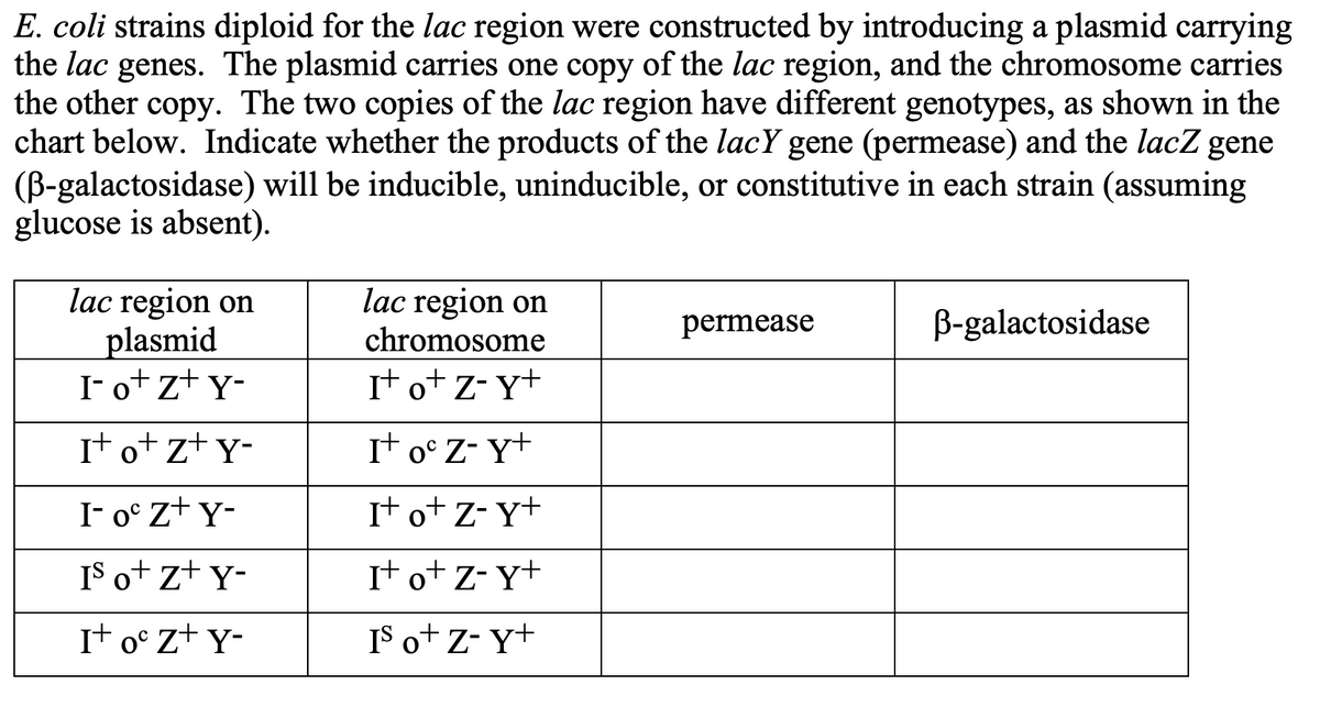 **E. coli strains diploid for the lac region were constructed by introducing a plasmid carrying the lac genes. The plasmid carries one copy of the lac region, and the chromosome carries the other copy. The two copies of the lac region have different genotypes, as shown in the chart below. Indicate whether the products of the lacY gene (permease) and the lacZ gene (β-galactosidase) will be inducible, uninducible, or constitutive in each strain (assuming glucose is absent).**

| **lac region on plasmid** | **lac region on chromosome** | **permease** | **β-galactosidase** |
|-----------------------------|-------------------------------|--------------|-----------------------|
| I⁻ o⁺ Z⁺ Y⁻                    | I⁺ o⁺ Z⁻ Y⁺                      |              |                       |
| I⁺ o⁺ Z⁺ Y⁻                    | I⁺ oᶜ Z⁻ Y⁺                      |              |                       |
| I⁻ oᶜ Z⁺ Y⁻                    | I⁺ o⁺ Z⁻ Y⁺                      |              |                       |
| Iˢ o⁺ Z⁺ Y⁻                    | I⁺ o⁺ Z⁻ Y⁺                      |              |                       |
| I⁺ oᶜ Z⁺ Y⁻                    | Iˢ o⁺ Z⁻ Y⁺                      |              |                       |

*Explanation*:
- "I⁺" denotes the presence of the functional lacI repressor.
- "I⁻" denotes a non-functional lacI repressor.
- "Iˢ" denotes a super-repressor that cannot be inactivated by the inducer.
- "o⁺" denotes the functional lac operator.
- "oᶜ" denotes a constitutive operator that cannot bind to the repressor.
- "Z⁺" denotes the presence of functional β-galactosidase gene.
- "Z⁻" denotes the absence (non-functional) of β-galactosidase gene.
- "Y⁺" denotes the presence of functional permease gene.
- "Y⁻" denotes the absence (non-functional) of permease gene.