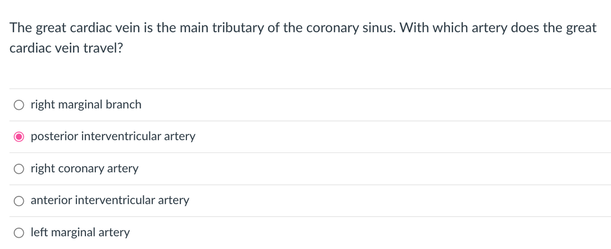 The great cardiac vein is the main tributary of the coronary sinus. With which artery does the great
cardiac vein travel?
right marginal branch
posterior interventricular artery
right coronary artery
anterior interventricular artery
left marginal artery