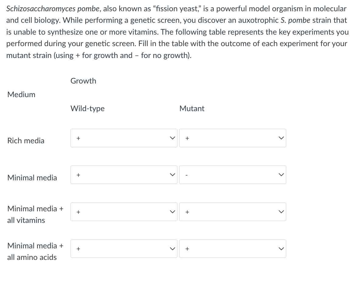 Schizosaccharomyces pombe, also known as "fission yeast," is a powerful model organism in molecular
and cell biology. While performing a genetic screen, you discover an auxotrophic S. pombe strain that
is unable to synthesize one or more vitamins. The following table represents the key experiments you
performed during your genetic screen. Fill in the table with the outcome of each experiment for your
mutant strain (using + for growth and - for no growth).
Medium
Rich media
Minimal media
Minimal media +
all vitamins
Minimal media +
all amino acids
Growth
Wild-type
+
+
+
+
Mutant
+
+
+
>
>
>