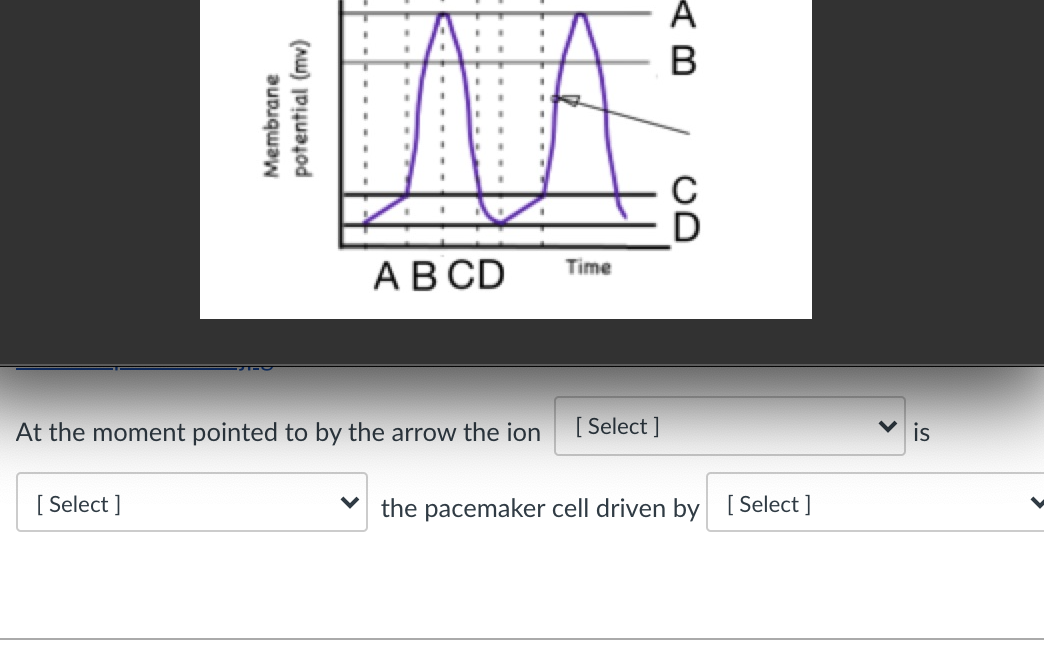 A
АВ CD
Time
At the moment pointed to by the arrow the ion
[ Select ]
is
[ Select ]
the pacemaker cell driven by [ Select ]
Membrane
potential (mv)
