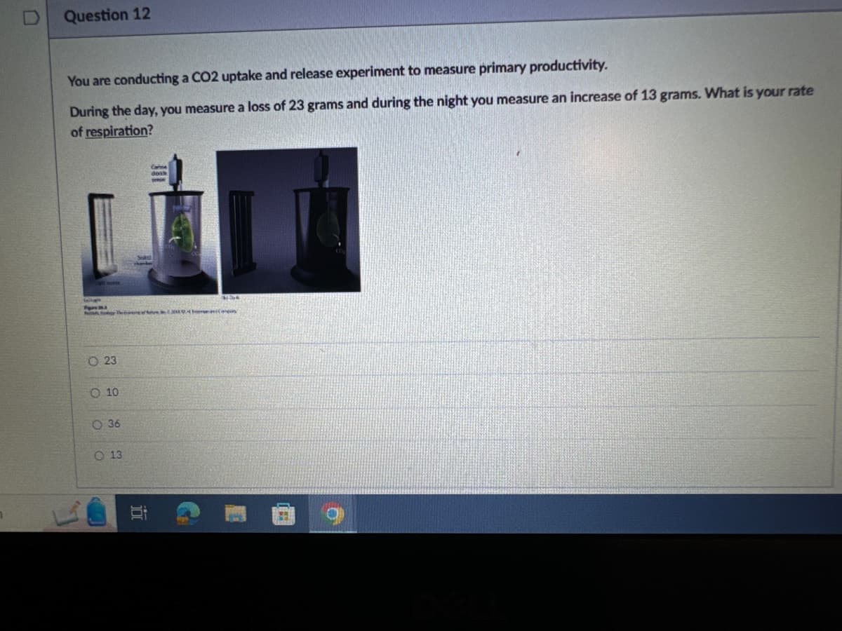 D
Question 12
You are conducting a CO2 uptake and release experiment to measure primary productivity.
During the day, you measure a loss of 23 grams and during the night you measure an increase of 13 grams. What is your rate
of respiration?
Carme
dosk
The 2004 (po
23
010
036
13
G
10