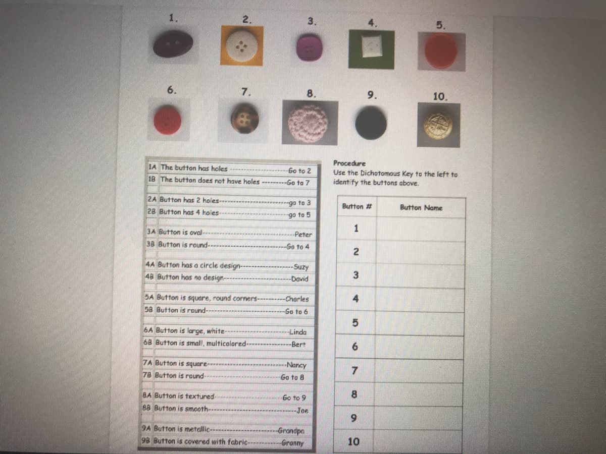 1.
3.
5.
6.
7.
8.
9.
10.
Procedure
Use the bichotomous Key to the left to
identify the buttons above.
IA The button has holes ---
Go to 2
1B The button does not have holes -----Go to 7
2A Button has 2 holes
"go to 3
Button #
Button Name
28 Button has 4 holes
go to 5
3A Button is oval
1
Peter
38 Button is rcund-
-So to 4
2
4A Button has a circle design-
48 Button has no design--
Suzy
-David
5A Button is square, round corners-
Charles
4
58 Button is round-
So to 6
6A Button is large, white-
68 Button is smal, multicolored-
Linda
-Bert
6.
7A Button is square-
-Nancy
78 Button is round-
Go to 8
BA Button is textured
Go to 9
8.
88 Button is smooth----
-Joe
6.
9A Button is metdllic---
-Grandpa
98 Button is covered with fabric----
Granny
10
2.
