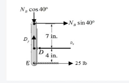 N, cos 40°
Ng sin 40°
7 in.
D,
Dx
4 in.
25 lb
