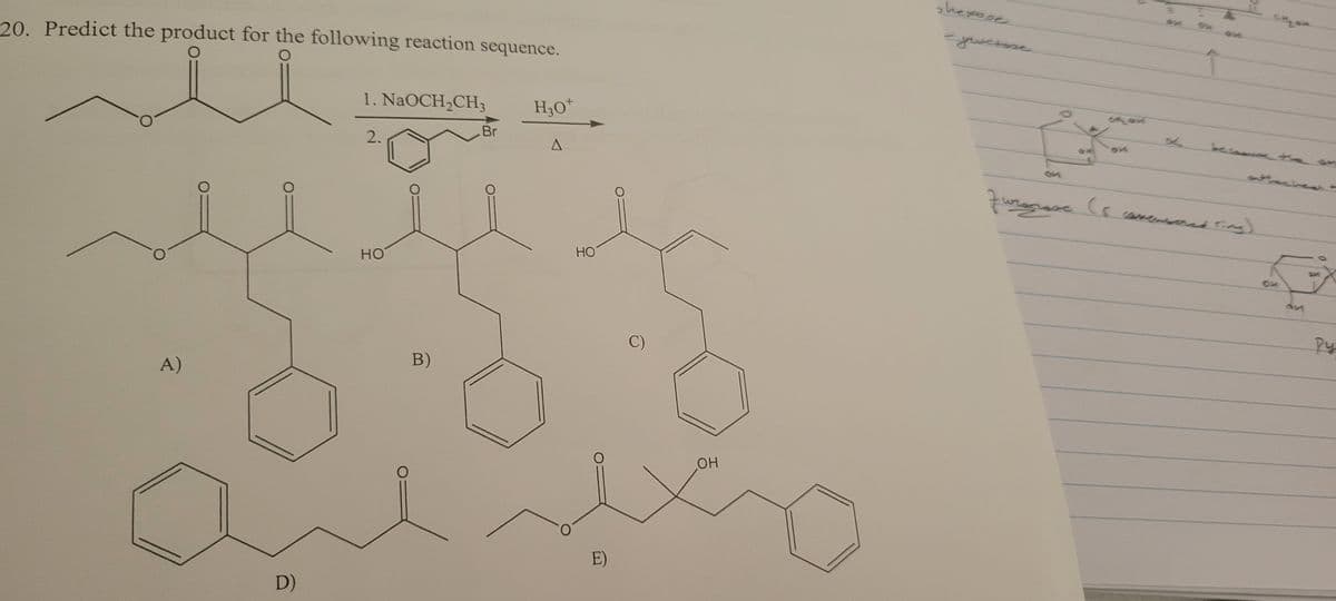 20. Predict the product for the following reaction sequence.
A)
D)
1. NaOCH₂CH3
2.
но
O
B)
Br
H₂O +
A
HO
E)
C)
OH
sherose
-jeverose
furgcase
3
*
EN
(scamenores
M
QM
0
py