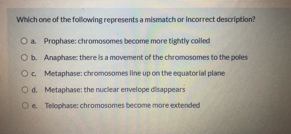 Which one of the following represents a mismatch or incorrect description?
O a. Prophase: chromosomes become more tightly coiled
O b. Anaphase: there is a movement of the chromosomes to the poles
O c. Metaphase: chromosomes line up on the equatorial plane
O d. Metaphase: the nuclear envelope disappears
O e. Telophase: chromosomes become more extended
