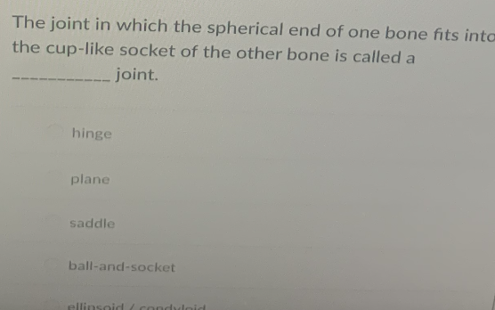 The joint in which the spherical end of one bone fits into
the cup-like socket of the other bone is called a
.joint.
hinge
plane
saddle
ball-and-socket
ellinsoid / condylaid
