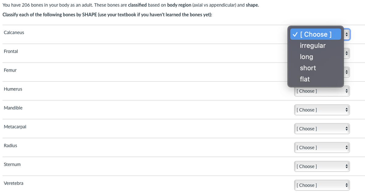You have 206 bones in your body as an adult. These bones are classified based on body region (axial vs appendicular) and shape.
Classify each of the following bones by SHAPE (use your textbook if you haven't learned the bones yet):
Calcaneus
V [Choose ]
irregular
Frontal
long
short
Femur
flat
Humerus
[Choose ]
Mandible
[ Choose ]
Metacarpal
[ Choose ]
Radius
[ Choose ]
Sternum
[ Choose ]
Veretebra
[ Choose ]
