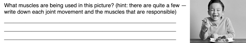 What muscles are being used in this picture? (hint: there are quite a few –
write down each joint movement and the muscles that are responsible)
