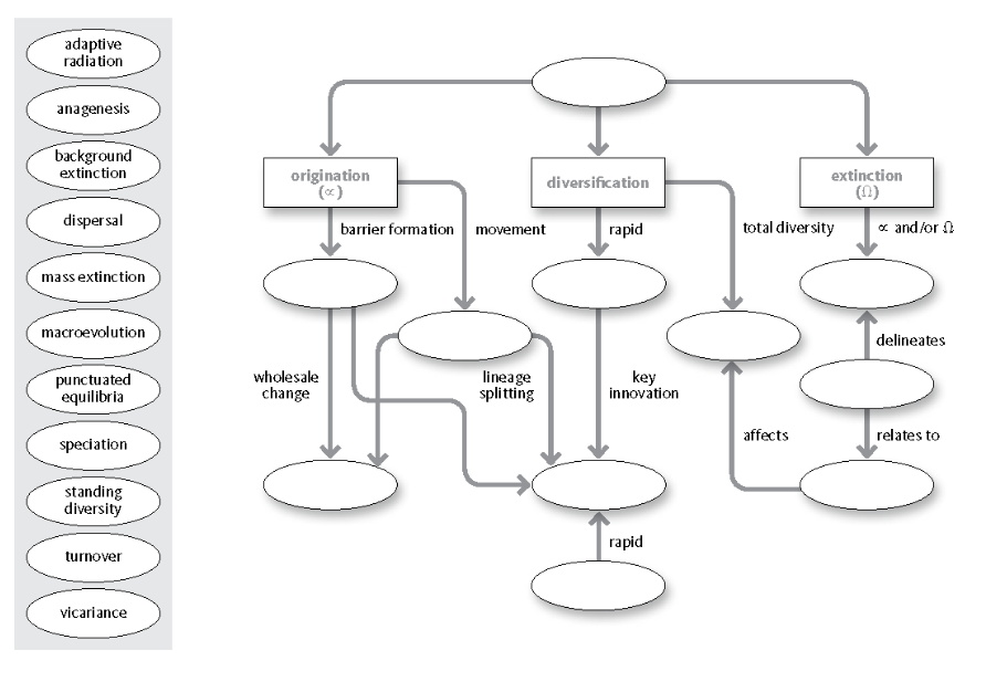 adaptive
radiation
anagenesis
background
extinction
dispersal
mass extinction
macroevolution
punctuated
equilibria
speciation
standing
diversity
turnover
vicariance
origination
(x)
wholesale
change
diversification
rapid
key
innovation
rapid
barrier formation movement
lineage
splitting
extinction
(0)
x and/or
total diversity
affects
000
delineates
relates to