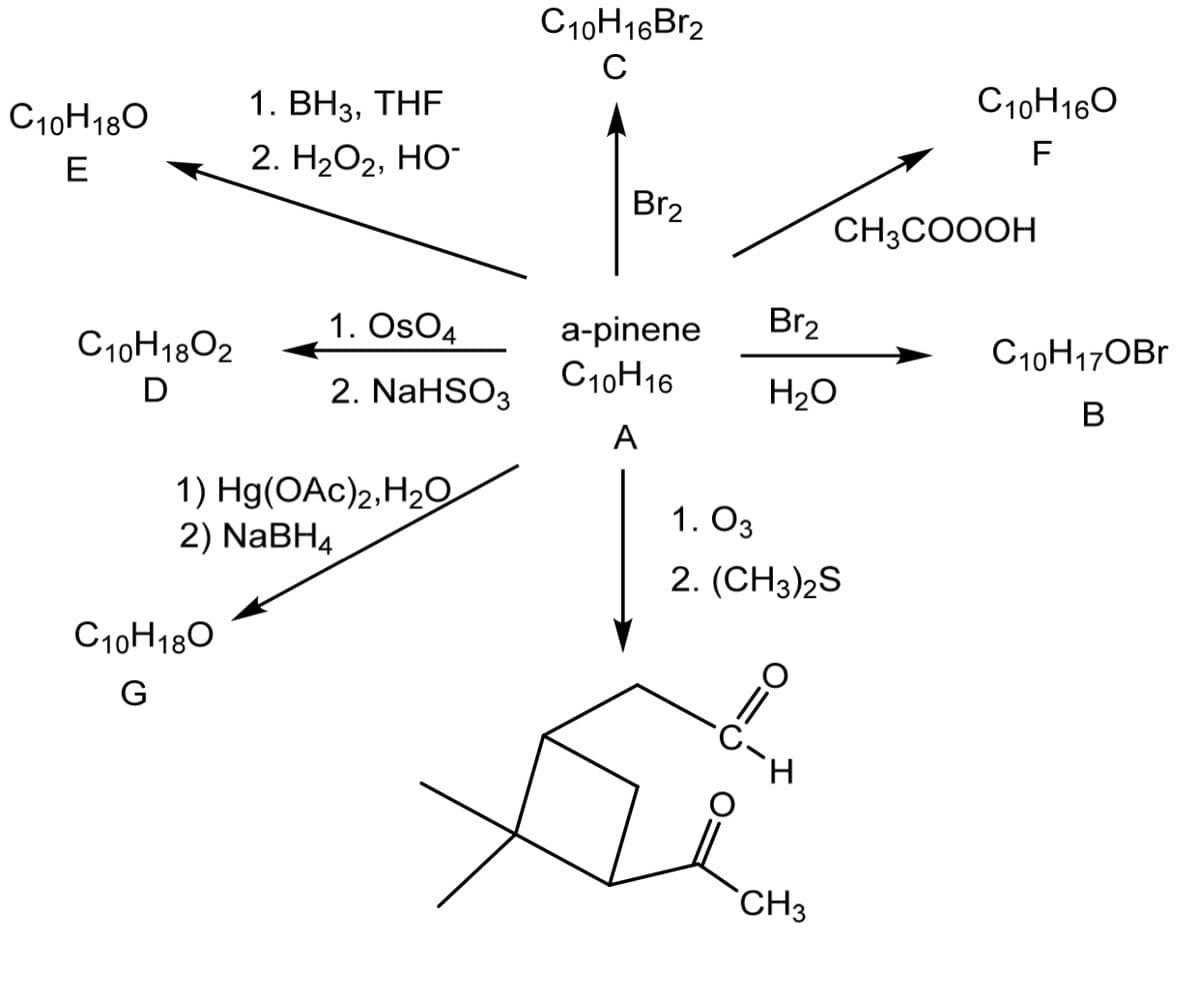 C10H16Br2
C
C10H180
1. ВНз, THF
C10H160
E
2. H Ο2, HO
F
Br2
CH3COOOH
1. OsO4
Br2
а-pinene
C10H16
C10H1802
C10H17OB1
D
2. NaHSO3
H20
В
А
1) Hg(ОAc)2, Н2о
1. Оз
2) NaBH4
2. (CH3)2S
C10H180
G
`CH3
