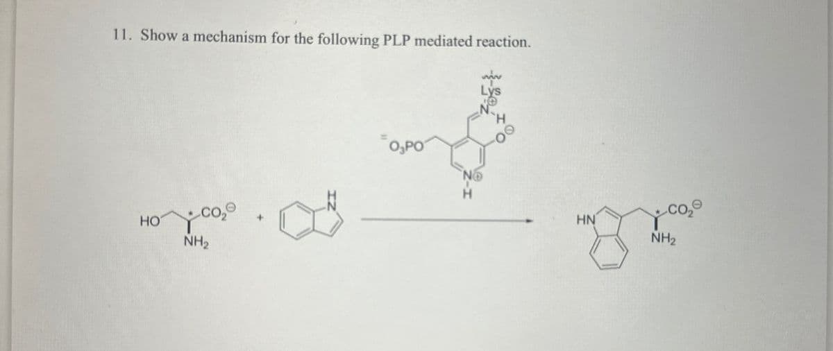 11. Show a mechanism for the following PLP mediated reaction.
Ho you,..
HO
NH₂
O,PO
HN
NH₂