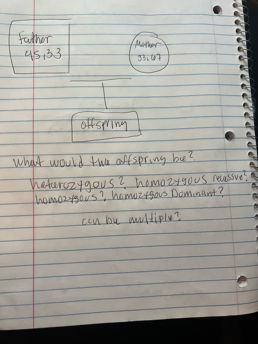 Father
Mother
45,33
33.67
offspring
What would the offspring be?
heterozygous ? homozygous recussve
homozygous ? homozygous Dominant?
con by multiple?