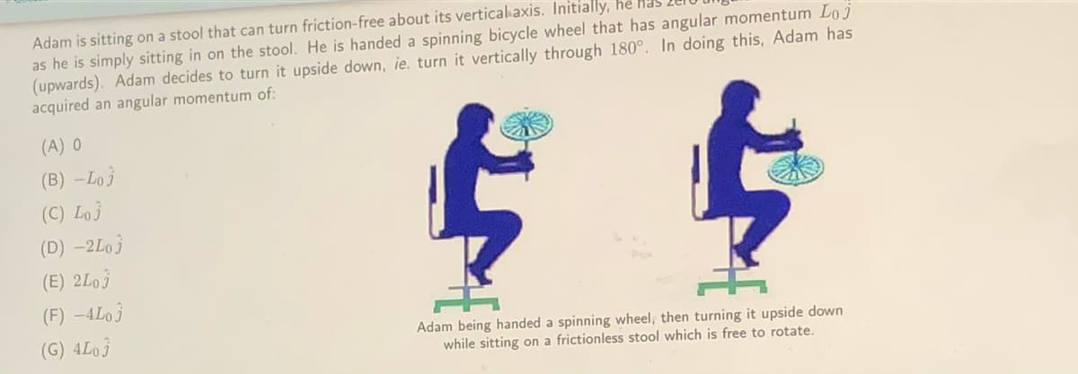 Adam is sitting on a stool that can turn friction-free about its verticalaxis. Initially, he has
as he is simply sitting in on the stool. He is handed a spinning bicycle wheel that has angular momentum Loj
(upwards). Adam decides to turn it upside down, ie. turn it vertically through 180°. In doing this, Adam has
acquired an angular momentum of:
(A) 0
(B) –Lo j
(C) Loj
(D) -2L0}
(E) 2L0Î
(F) -4Lo j
(G) 4L03
Adam being handed a spinning wheel, then turning it upside down
while sitting on a frictionless stool which is free to rotate.
