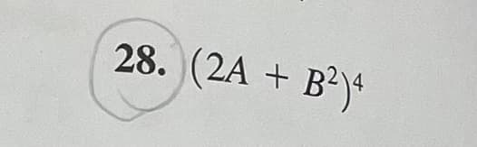 28. (2A + B²)4