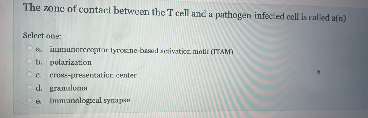 The zone of contact between the T cell and a pathogen-infected cell is called a(n)
Select one:
a. immunoreceptor tyrosine-based activation motif (ITAM)
b. polarization
C. cross-presentation center
d. granuloma
e. immunological synapse