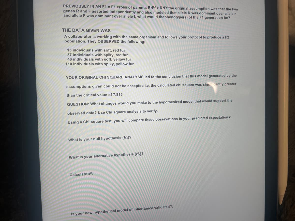 PREVIOUSLY IN AN F1 x F1 cross of parents RrFf x RrFf the original assumption was that the two
genes R and F assorted independently and also modeled that allele R was dominant over allele r
and allele F was dominant over allele f, what would thephenotype(s) of the F1 generation be?
THE DATA GIVEN WAS
A collaborator is working with the same organism and follows your protocol to produce a F2
population. They OBSERVED the following:
13 individuals with soft, red fur
37 individuals with spiky, red fur
40 individuals with soft, yellow fur
110 individuals with spiky, yellow fur
YOUR ORIGINAL CHI SQUARE ANALYSIS led to the conclusion that this model generated by the
assumptions given could not be accepted i.e. the calculated chi square was significantly greater
than the critical value of 7.815
QUESTION: What changes would you make to the hypothesized model that would support the
observed data? Use Chi square analysis to verify.
Using a Chi-square test, you will compare these observations to your predicted expectations:
What is your null hypothesis (Ho)?
What is your alternative hypothesis (Ha)?
Calculate x2:
Is your new hypothetical model of inheritance validated?:
