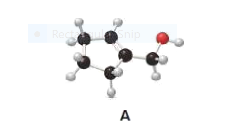 Rectulsnip
A.
