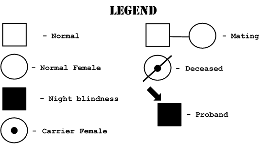 LEGEND
- Normal
Mating
Normal Female
Deceased
- Night blindness
Proband
Carrier Female
