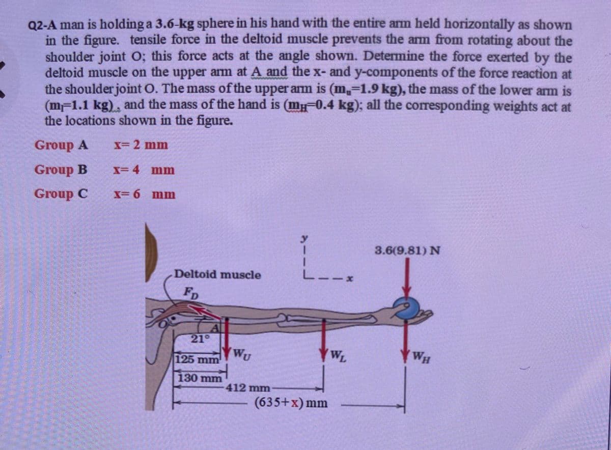 Q2-A man is holding a 3.6-kg sphere in his hand with the entire arm held horizontally as shown
in the figure. tensile force in the deltoid muscle prevents the arm from rotating about the
shoulder joint O; this force acts at the angle shown. Determine the force exerted by the
deltoid muscle on the upper arm at A and the x- and y-components of the force reaction at
the shoulder joint O. The mass of the upper am is (m,-1.9 kg), the mass of the lower arm is
(m-1.1 kg), and the mass of the hand is (m-0.4 kg); all the corresponding weights act at
the locations shown in the figure.
Group A
X= 2 mm
Group B
X= 4 mm
Group C
X= 6 mm
3.6(9.81) N
Deltoid muscle
L-
FD
21°
WU
125 mm'
WL
WH
130 mm
412 mm
(635+x) mm
