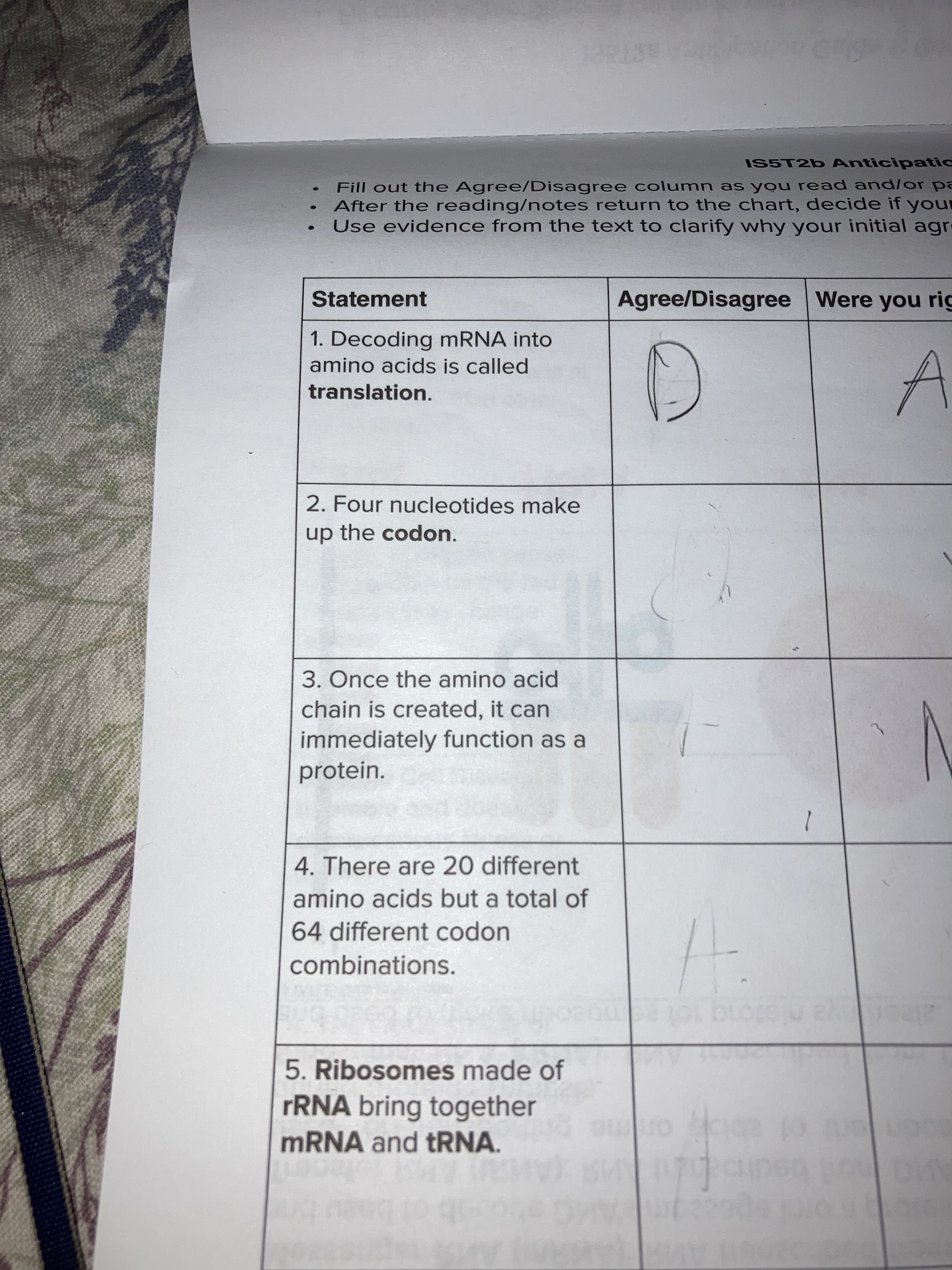 IS5T26 Anticipatic
Fill out the Agree/Disagree column as you read and/or pa
After the reading/notes return to the chart, decide if your
Use evidence from the text to clarify why your initial agr
Statement
Agree/Disagree Were you rig
1. Decoding MRNA into
amino acids is called
translation.
2. Four nucleotides make
up the codon.
3. Once the amino acid
chain is created, it can
immediately function as a
protein.
4. There are 20 different
amino acids but a total of
64 different codon
combinations.
101 2m
5. Ribosomes made of
FRNA bring together
MRNA and tRNA.
on
