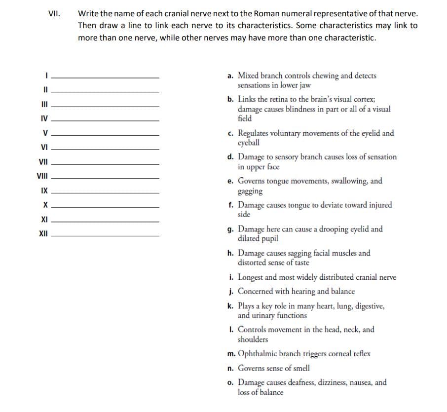 Write the name of each cranial nerve next to the Roman numeral representative of that nerve.
Then draw a line to link each nerve to its characteristics. Some characteristics may link to
VII.
more than one nerve, while other nerves may have more than one characteristic.
a. Mixed branch controls chewing and detects
sensations in lower jaw
b. Links the retina to the brain's visual cortex;
III
damage causes blindness in part or all of a visual
field
IV
c. Regulates voluntary movements of the eyelid and
eyeball
V
VI
d. Damage to sensory branch causes loss of sensation
in upper face
VII
VIII
e. Governs tongue movements, swallowing, and
gagging
IX
f. Damage causes tongue to deviate toward injured
side
X
XI
g. Damage here can cause a drooping eyelid and
dilated pupil
XII
h. Damage causes sagging facial muscles and
distorted sense of taste
i. Longest and most widely distributed cranial nerve
j. Concerned with hearing and balance
k. Plays a key role in many heart, lung, digestive,
and urinary functions
I. Controls movement in the head, neck, and
shoulders
m. Ophthalmic branch triggers corneal reflex
n. Governs sense of smell
o. Damage causes deafness, dizziness, nausea, and
loss of balance

