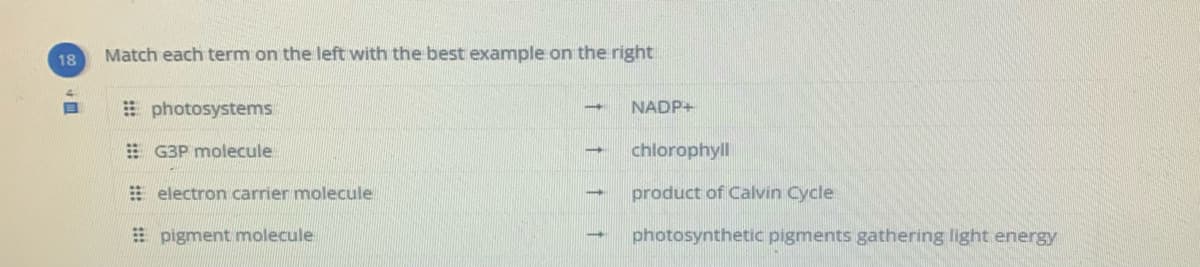 Match each term on the left with the best example on the right
18
E photosystems
NADP+
E G3P molecule
chlorophyll
E electron carrier molecule
product of Calvin Cycle
E pigment molecule
photosynthetic pigments gathering light energy
