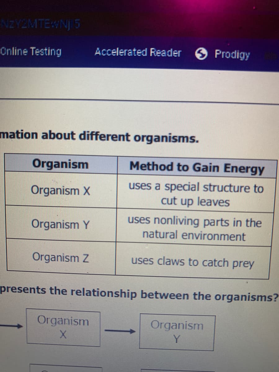 NZY2MTEWNJ 5
Online Testing
Accelerated Reader 6 Prodigy
mation about different organisms.
Organism
Method to Gain Energy
uses a special structure to
cut up leaves
Organism X
uses nonliving parts in the
natural environment
Organism Y
Organism Z
uses claws to catch prey
presents the relationship between the organisms?
Organism
Organism
Y
