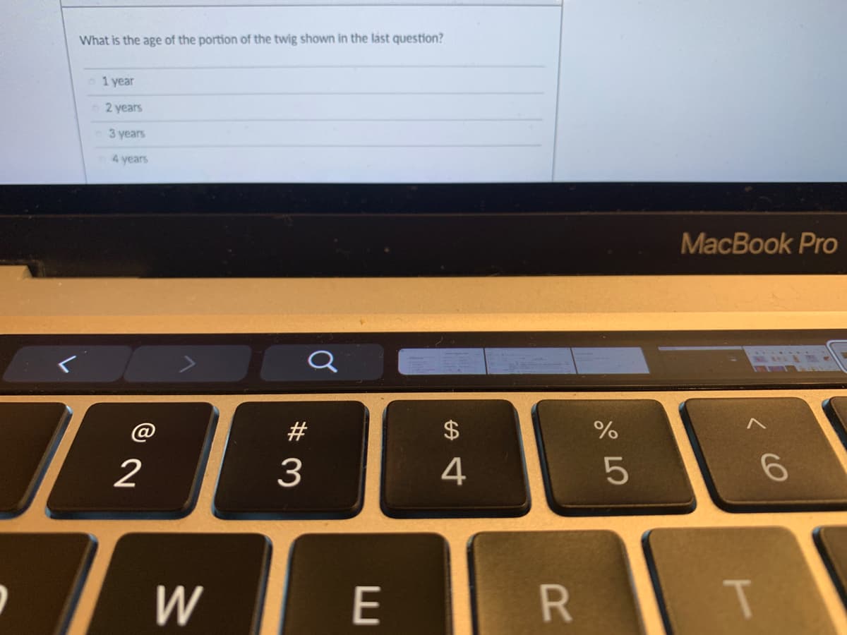What is the age of the portion of the twig shown in the last question?
1 year
o2 years
3 years
4 years
MacBook Pro
@
#
$
2
3
W
E
R
