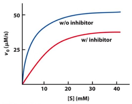 50
w/o inhibitor
w/ inhibitor
25
10
20
30
40
[S] (mM)
(s/Wrl) On
