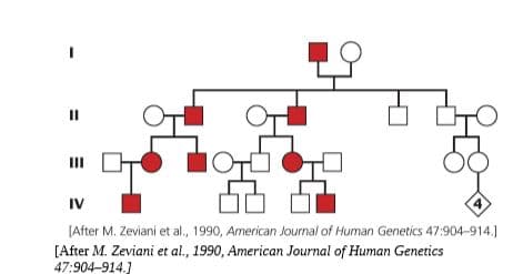 II
ш
IV
4)
(After M. Zeviani et al., 1990, American Journal of Human Genetics 47:904-914.]
[After M. Zeviani et al., 1990, American Journal of Human Genetics
47:904-914.]
