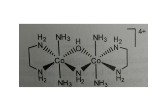 4+
H2 NH3
NH3 H2
Co
Co.
N.
H2
NH3
N.
H2
H2
NH3
