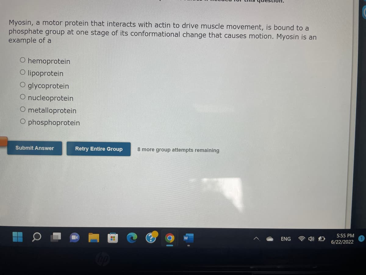 **Question: Anatomy of Myosin and Protein Classification**

Myosin, a motor protein that interacts with actin to drive muscle movement, is bound to a phosphate group at one stage of its conformational change that causes motion. Myosin is an example of a:

- hemoprotein
- lipoprotein
- glycoprotein
- nucleoprotein
- metalloprotein
- phosphoprotein

**Answer**

Upon selecting an option, users should click the "Submit Answer" button. If a user wants to attempt the question afresh, they can click on the "Retry Entire Group" button. Note that the number of remaining group attempts is displayed, in this case, "8 more group attempts remaining."

This interactive quiz helps to test and reinforce student understanding of protein classifications and their functional roles in biological processes.