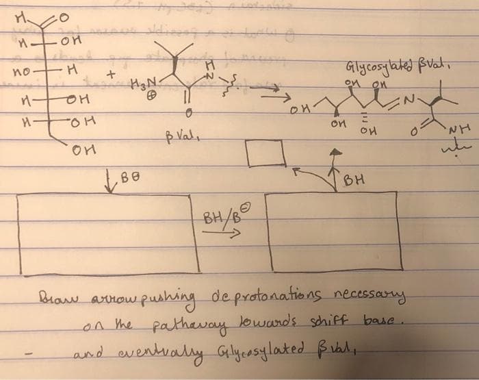 Ho
M
no-
OH
-
-H
HOH
H-
OH
он
+
H₂N-
o
p Val,
Braw arrow
on
Glycosylated val
on on
ENY
on
OH
Be
BH
BH/B²
ou pushing de protonations necessary.
on the pathaway towards schiff base.
and eventually Glycasylated Bual,
NH
سليب