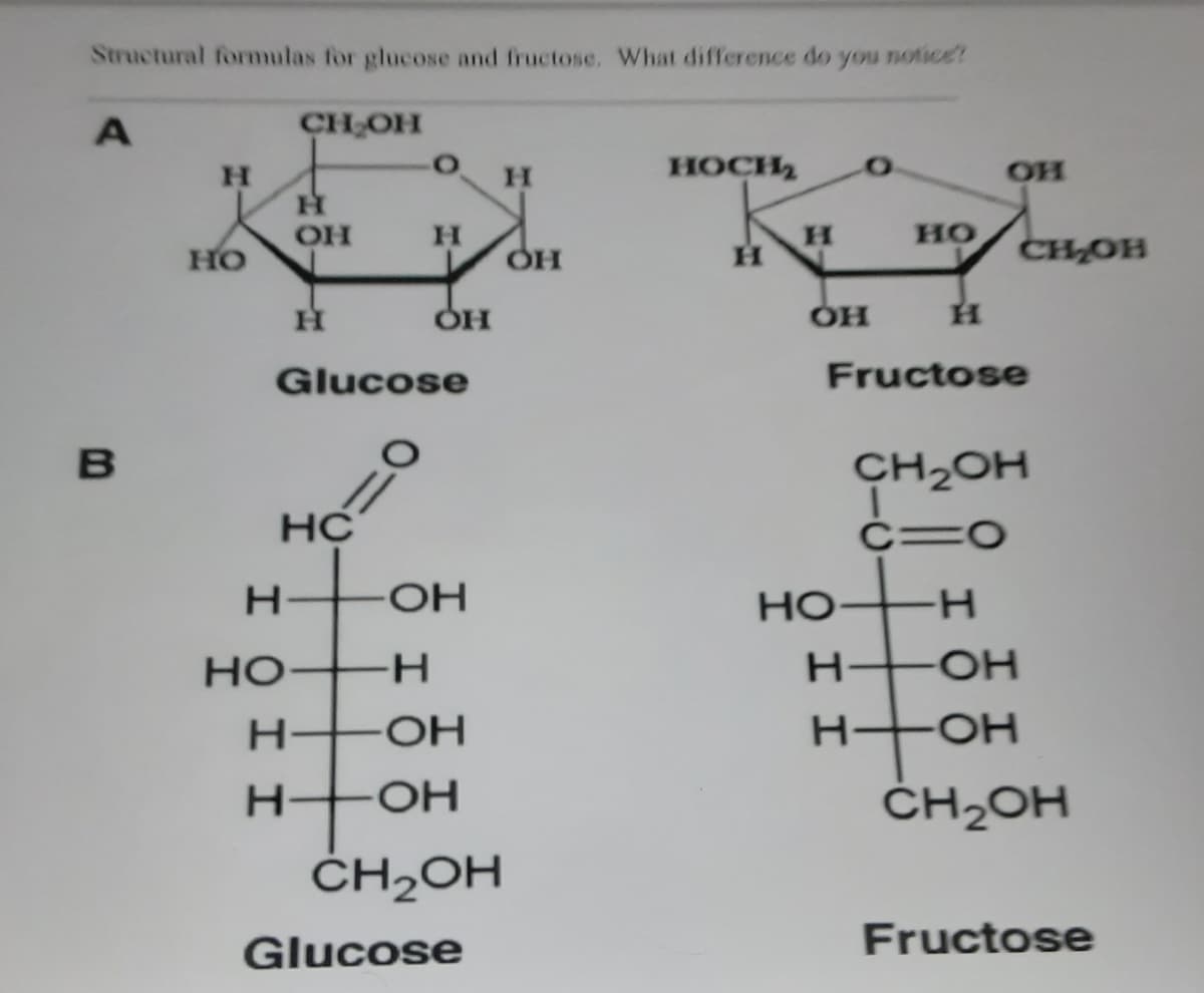 Structural formulas for glucose and fructose. What difference do you notice?
CH OH
H.
носи,
OH
OH
но
CHOH
HO
H.
он
H.
Glucose
Fructose
B
CH2OH
c=0
HO H
-
HO+H
H HOH
-HO-
H FOH
HO-
H-
HO-
H+OH
ČH2OH
ČH2OH
Glucose
Fructose
I I
I O I I
