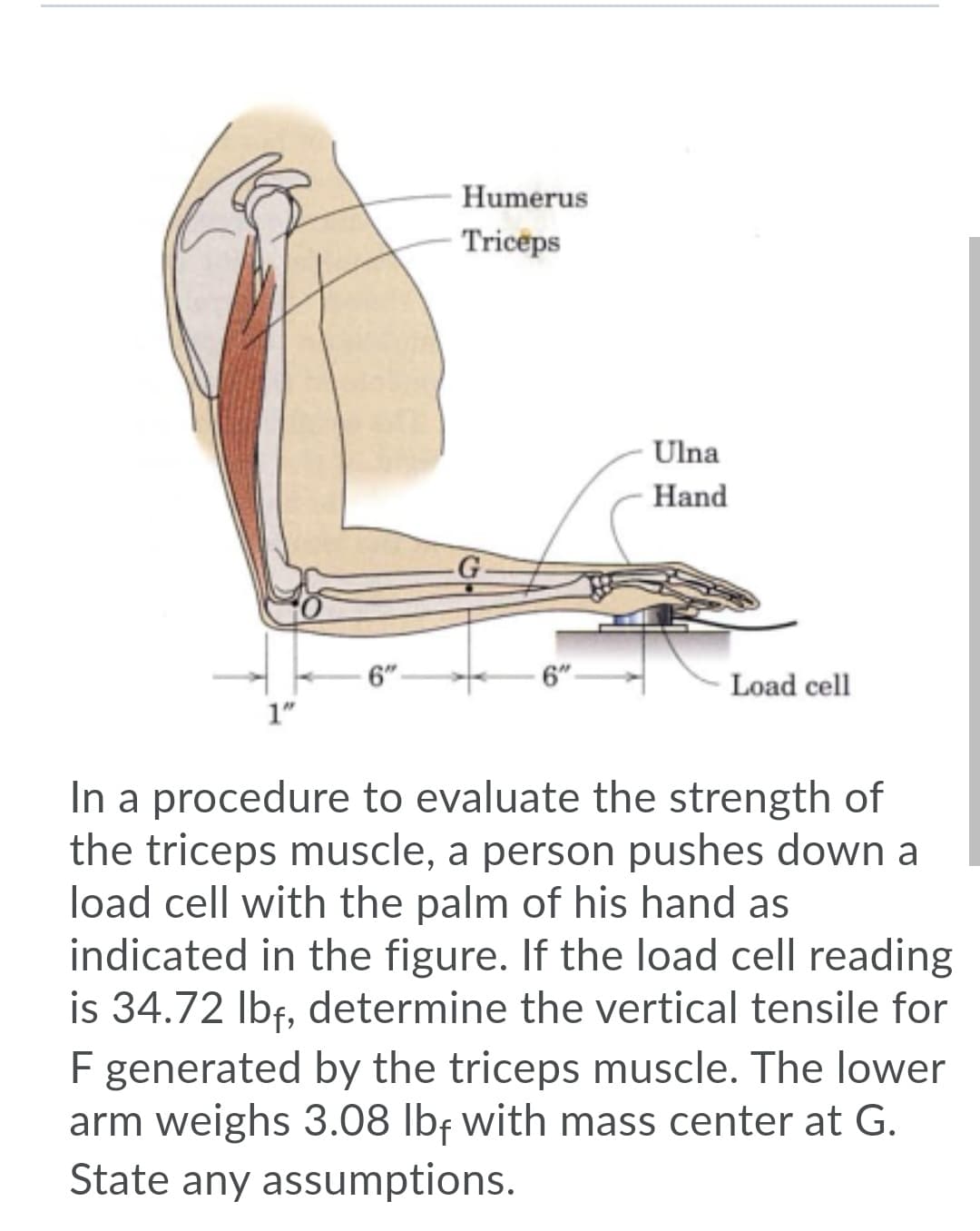 Humerus
Triceps
Ulna
Hand
G
6"
6"
Load cell
1"
In a procedure to evaluate the strength of
the triceps muscle, a person pushes down a
load cell with the palm of his hand as
indicated in the figure. If the load cell reading
is 34.72 Ibf, determine the vertical tensile for
F generated by the triceps muscle. The lower
arm weighs 3.08 lbf with mass center at G.
State any assumptions.
