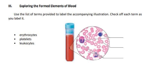 III.
Exploring the Formed Elements of Blood
Use the list of terms provided to label the accompanying illustration. Check off each term as
you label it.
erythrocytes
platelets
leukocytes
