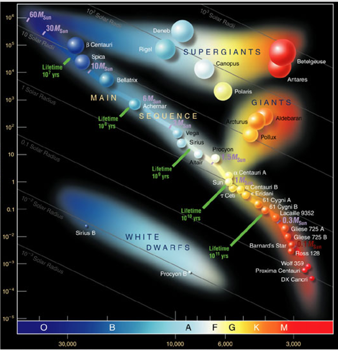 10
105
10*
10³
10²
10
0.1
10-2
10-3
104
10-5
60 Msun
30 Msan
10 Solar Radi
Lifetime
107 yrs
1 Solar Radius
0.1 Solar Radius
10% Solar Radius
10 Solar Radius
10 Solar Rad
30,000
B Centauri
Spica
10 Msun
Sirius B
MAIN
Bellatrix
Lifetime
10 yrs
B
Deneb
Rigel
6 Moun
Achernar
SEQUENCE
Msin
Lifetime
10 yrs
WHITE
SUPERGIANTS
Canopus
Vega
Procyon B
10,000
10 Solar Radi
Sirius
Lifetime
1010 yrs
DWARFS
Altair
A
Arcturus
Procyon
Polaris
5 Msun
Lifetime
10¹1 yrs
Sun 1 M
T Ceti
a Centauri A
F G
T
6,000
GIANTS
Pollux
Antares
Aldebaran
Betelgeuse
Centauri B
Eridani
61 Cygni A
61 Cygni B
Lacaille 9352
0.3Msun
Barnard's Star
K
Wolf 359
Proxima Centauri
DX Cancri
M
Gliese 725 A
Gliese 725 B
0.7Msan
Ross 128
3,000