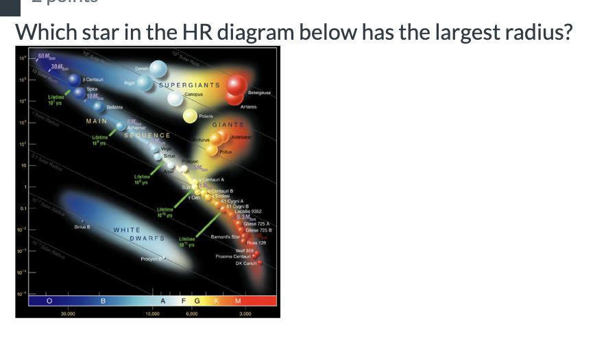 Which star in the HR diagram below has the largest radius?
1060 M
10⁰
10⁰
10²
6
10
30 M
10 Solar Radi
Lifetime
10 yrs
0.1 Solar Radus
30,000
B Centauri
Spica
10M
MAIN
Bellatrix
Lifetime
B
Deneb
Rigal
6M
Achemar
SEQUENCE
Lifetime
WHITE
SUPERGIANTS
Canopus
Vega
10 Solar Rad
Procyon B
10,000
Srius
Lifetime
DWARFS
Alar
Arcturus
Procyon
Polaris
5 M
Littine"
10 yrs
S 1M
Cet
AFG
6,000
GIANTS
Centauri A
Pollux
Centaur B
Eridan
Antares
Aldebaran
K
Betelgeuse
Barnard's Star
61 Cyani A
61 Cyani B
Lacalle 9352
0.3M
Gliese 725 A
Gliese 725 8
Wolf 359
Proxima Centauri
M
Ross 128
DX Cancri
3,000