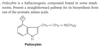 . Psilocybin is a hallucinogenic compound found in some mush-
rooms. Present a straightforward pathway for its biosynthesis from
one of the aromatic amino acids.
CH2-CH2-N(CH3)2
Psilocybin
