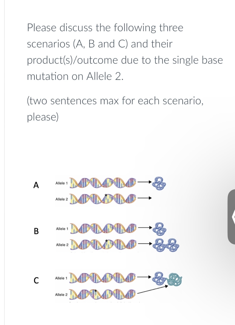 Please discuss the following three
scenarios (A, B and C) and their
product(s)/outcome due to the single base
mutation on Allele 2.
(two sentences max for each scenario,
please)
A
Allele 1
MNMNM
Allele 2
MAMM
Allele 1
B
MNMNM
Allele 2
MAMM
Allele 1
C
MMM
Allele 2
MMM