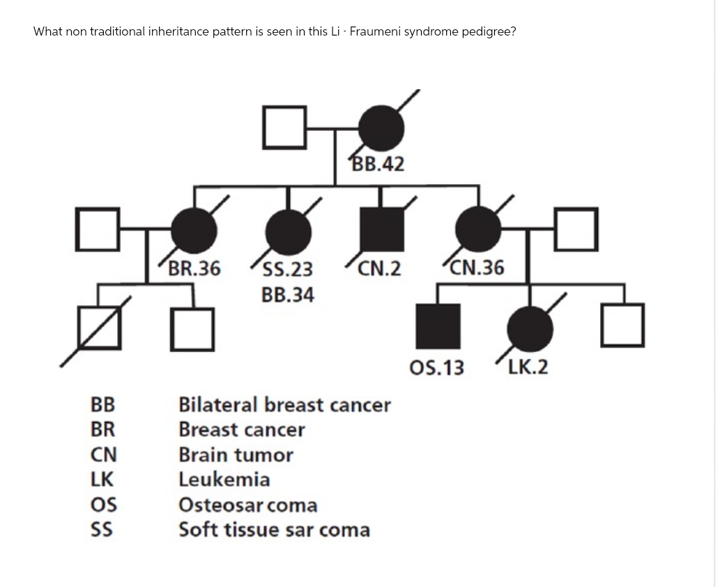 What non traditional inheritance pattern is seen in this Li - Fraumeni syndrome pedigree?
BB.42
BR.36
SS.23
CN.2 CN.36
BB.34
BB
BR
Bilateral breast cancer
Breast cancer
CN
Brain tumor
LK
OS
SS
Leukemia
Osteosarcoma
Soft tissue sarcoma
OS.13 LK.2