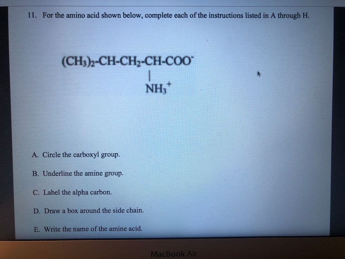 11. For the amino acid shown below, complete each of the instructions listed in A through H.
(CH3)2-CH-CH2-CH-COO
NH,
A. Circle the carboxyl group.
B. Underline the amine group.
C. Label the alpha carbon.
D. Draw a box around the side chain.
E. Write the name of the amine acid.
MacBook Air
