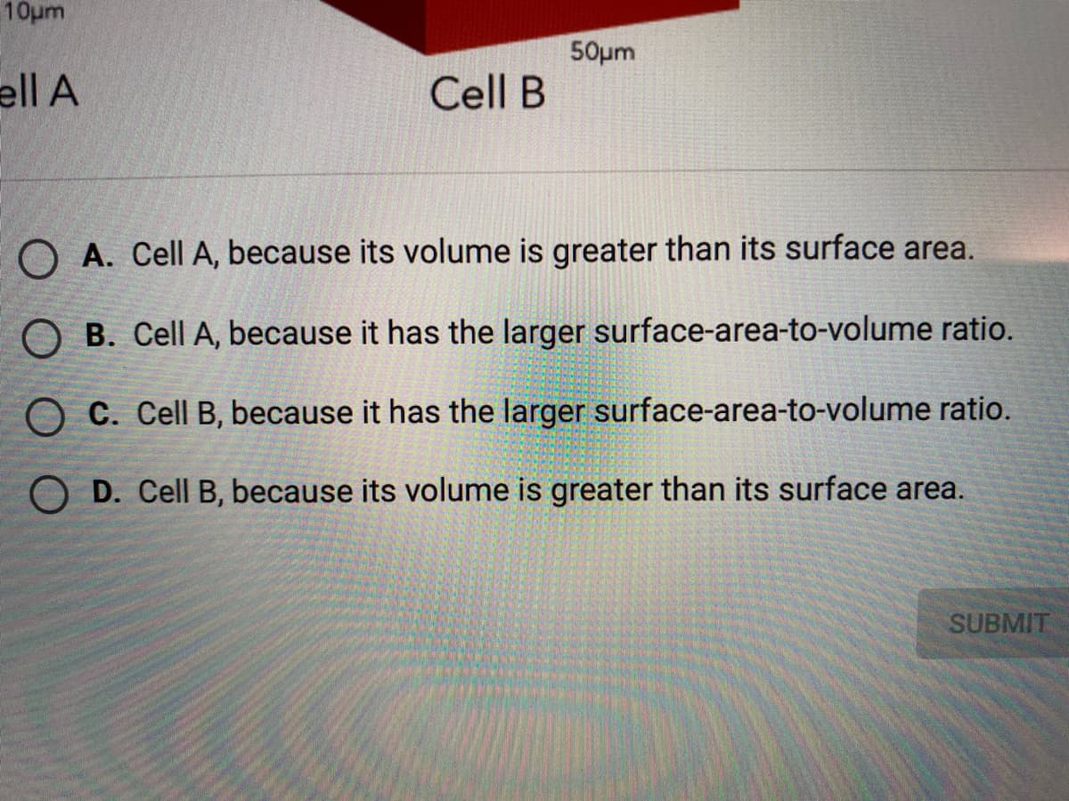 1ομη
50pm
ell A
Cell B
O A. Cell A, because its volume is greater than its surface area.
O B. Cell A, because it has the larger surface-area-to-volume ratio.
C. Cell B, because it has the larger surface-area-to-volume ratio.
O D. Cell B, because its volume is greater than its surface area.
SUBMIT
