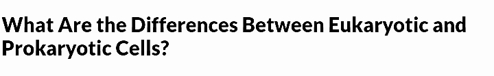 What Are the Differences Between Eukaryotic and
Prokaryotic Cells?
