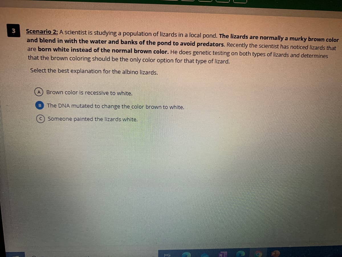 Scenario 2: A scientist is studying a population of lizards in a local pond. The lizards are normally a murky brown color
and blend in with the water and banks of the pond to avoid predators. Recently the scientist has noticed lizards that
3
are born white instead of the normal brown color. He does genetic testing on both types of lizards and determines
that the brown coloring should be the only color option for that type of lizard.
Select the best explanation for the albino lizards.
Brown color is recessive to white.
B The DNA mutated to change the color brown to white.
Someone painted the lizards white.
