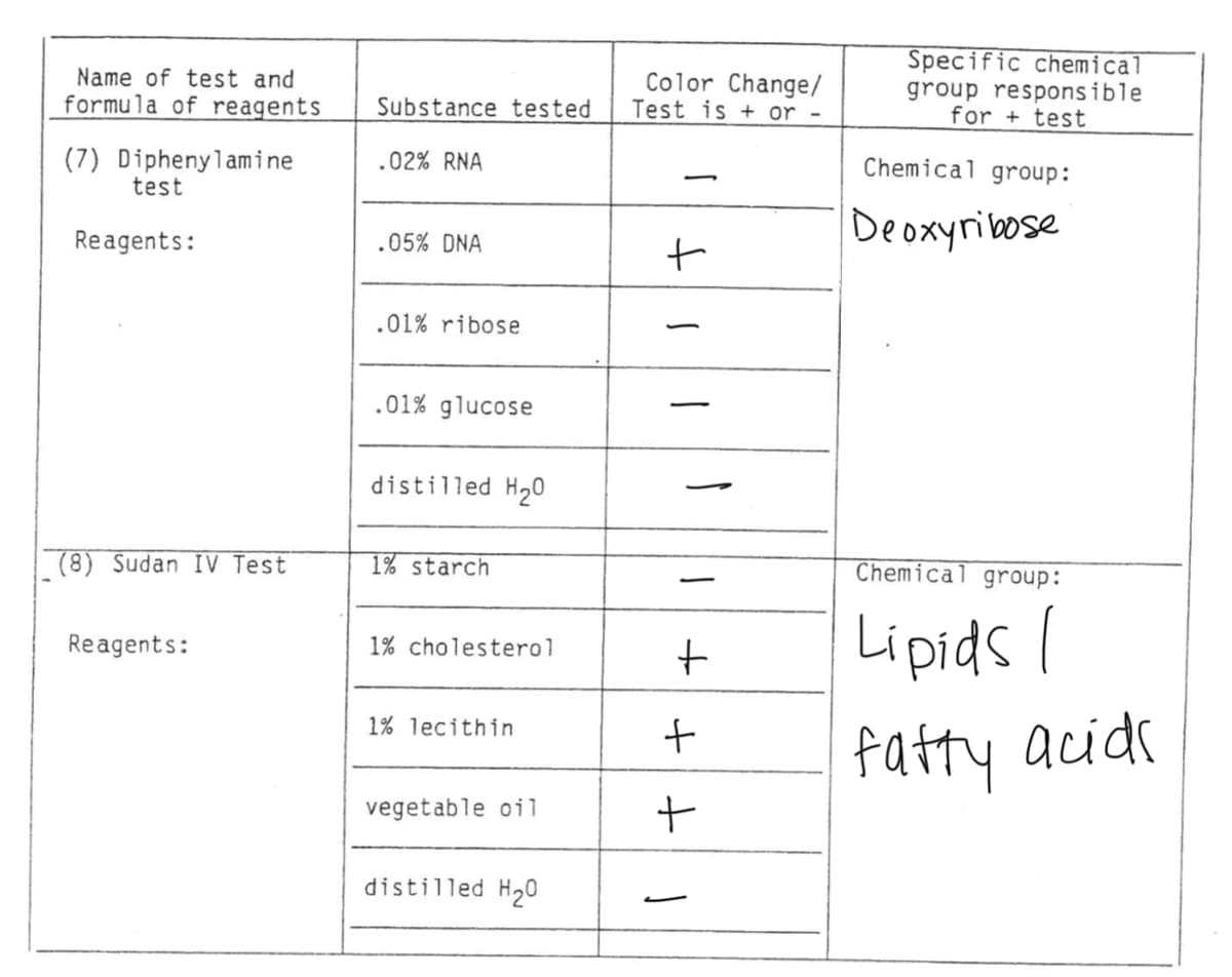 Name of test and
formula of reagents
(7) Diphenylamine
test
Reagents:
(8) Sudan IV Test
Reagents:
Substance tested
.02% RNA
.05% DNA
.01% ribose
.01% glucose
distilled H₂0
1% starch
1% cholesterol
1% lecithin
vegetable oil
distilled H₂0
Color Change/
Test is+ or -
-
+
+
+
+
Specific chemical
group responsible
for+test
Chemical group:
Deoxyribose
Chemical group:
Lipids /
fatty acids