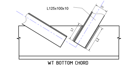 L125x100x10
WT BOTTOM CHORD
L2
