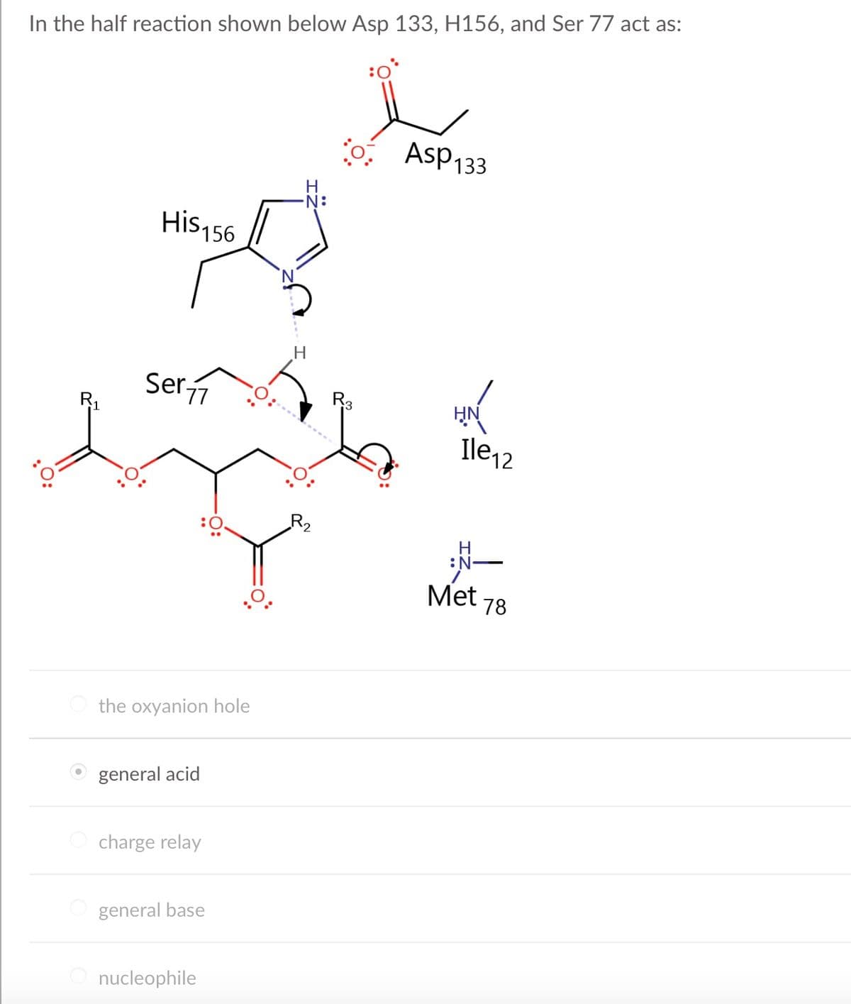 In the half reaction shown below Asp 133, H156, and Ser 77 act as:
R₁
His 156
Ser 77
the oxyanion hole
general acid
charge relay
general base
nucleophile
H
-N:
H
*o;
R3
ASP 133
HN
Ile12
H
-N²
Met 78