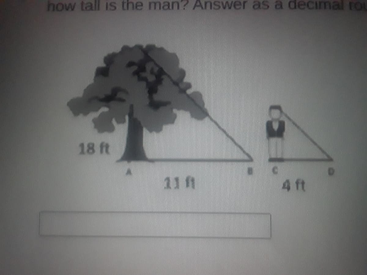 how tall is the man? Answer as a decimal FOL
18 ft
11 ft
4 ft
